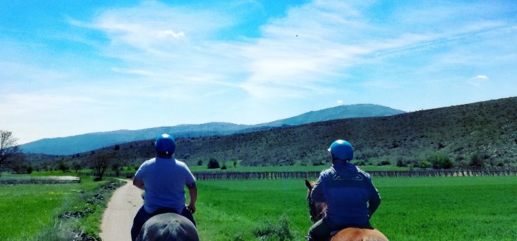 Auriga Maneggio – Escursioni a cavallo