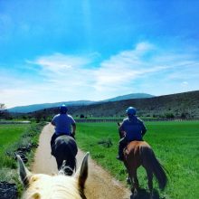 Auriga Maneggio – Escursioni a cavallo