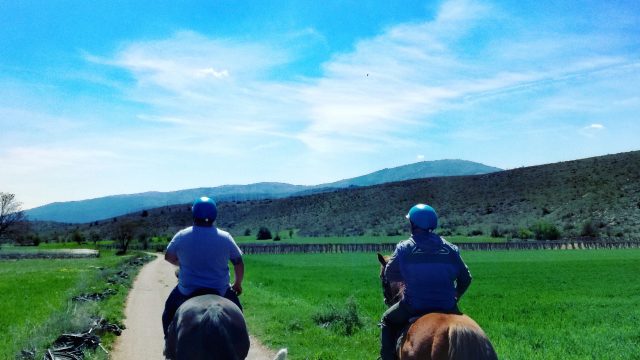 Auriga Maneggio – Escursioni a cavallo