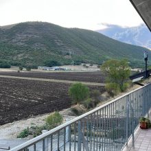 Il Papavero Rosso