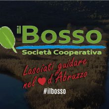 Il Bosso