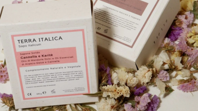 Terra Italica – laboratorio